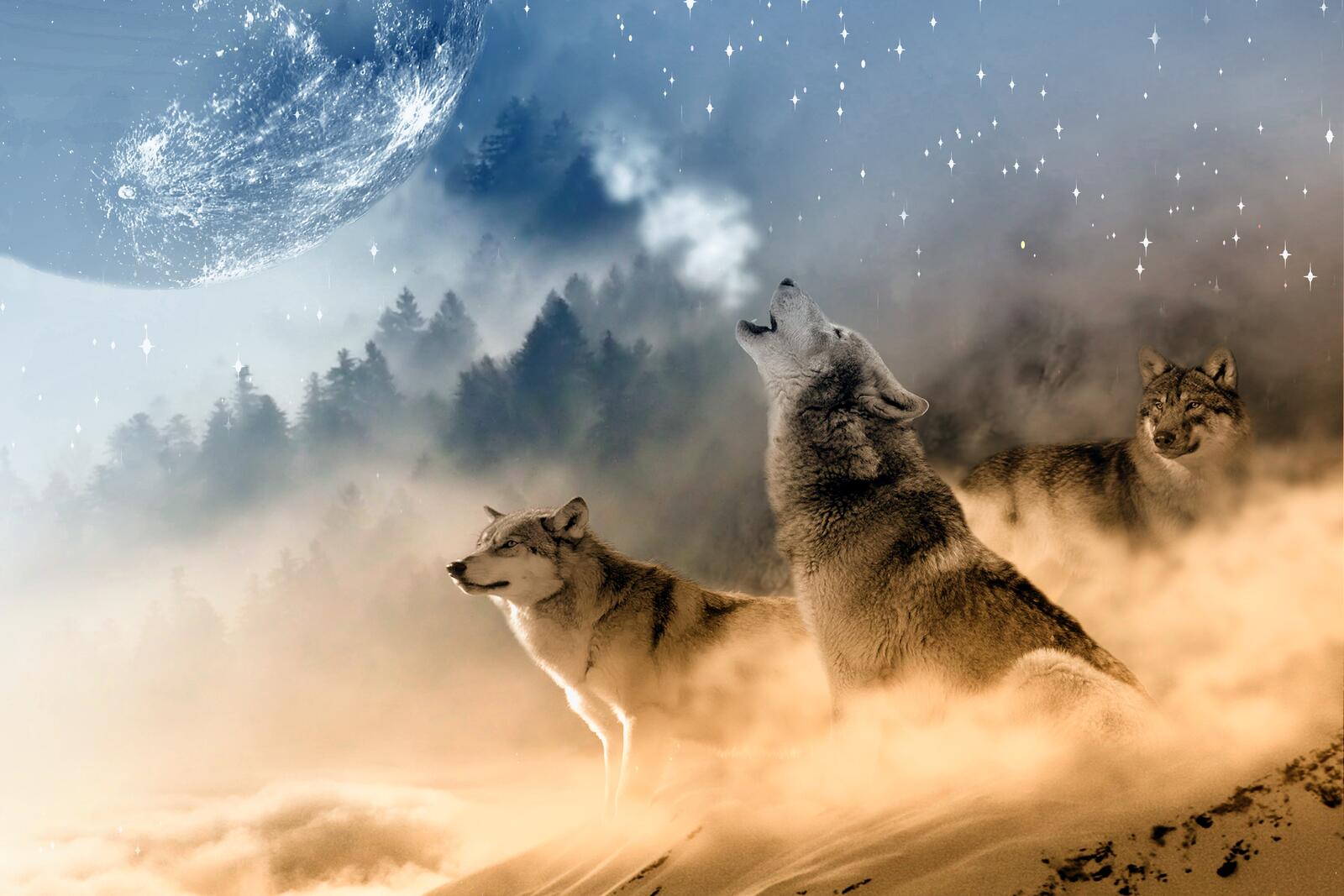 Free photo Wolves in the fog howling at the moon