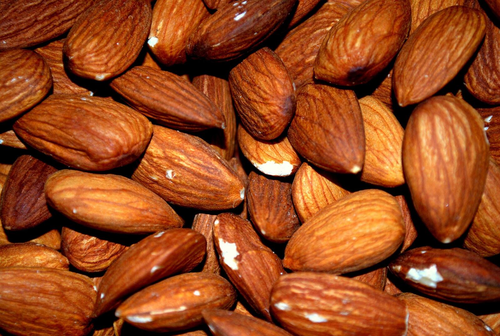 Free photo Close-up of almond nuts