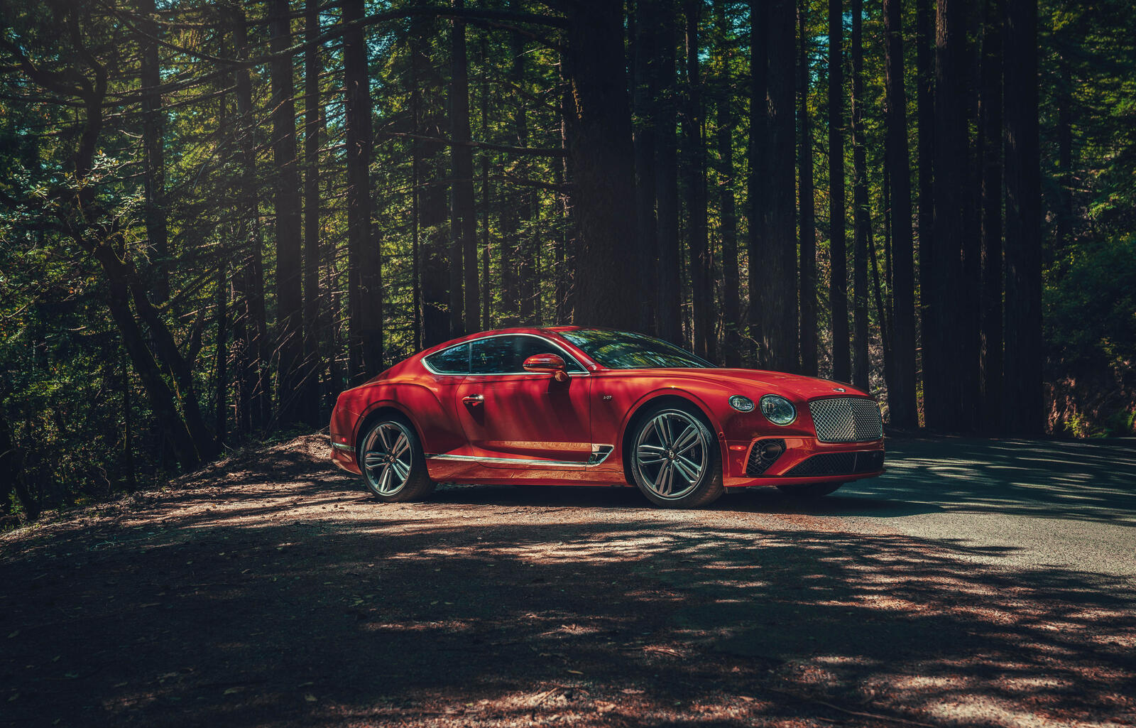 Free photo The 2020 Bentley Continental GT in red among the conifers