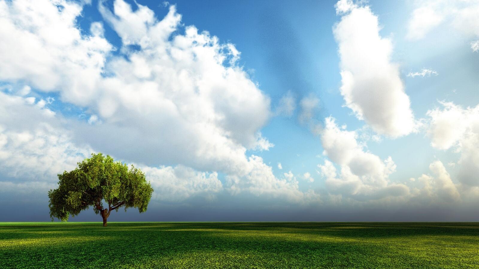 Бесплатное фото Большое зеленое поле с одиноким деревом