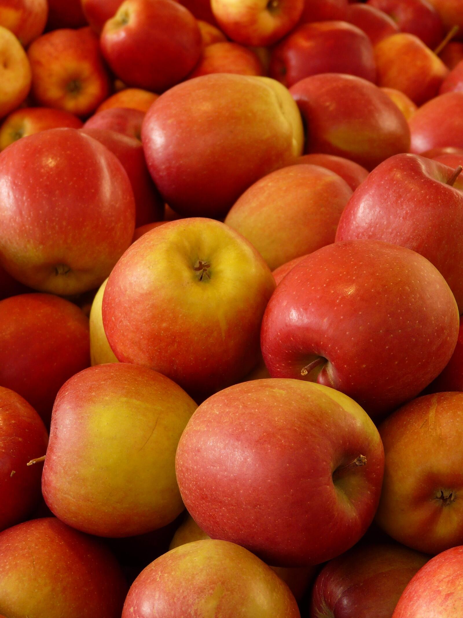 免费照片一大堆成熟的红苹果和黄苹果。