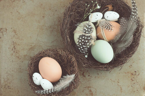Яйца разных птиц в гнезде