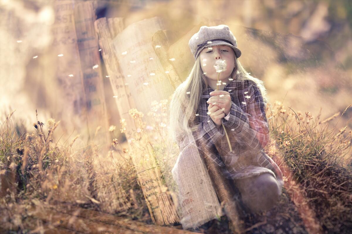 A little girl in an overcoat blows dandelion seeds