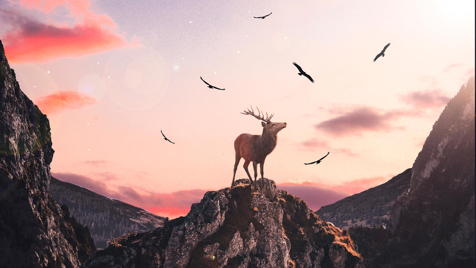 Free photo A deer on top of a cliff