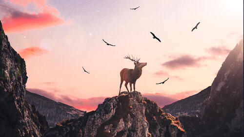A deer on top of a cliff