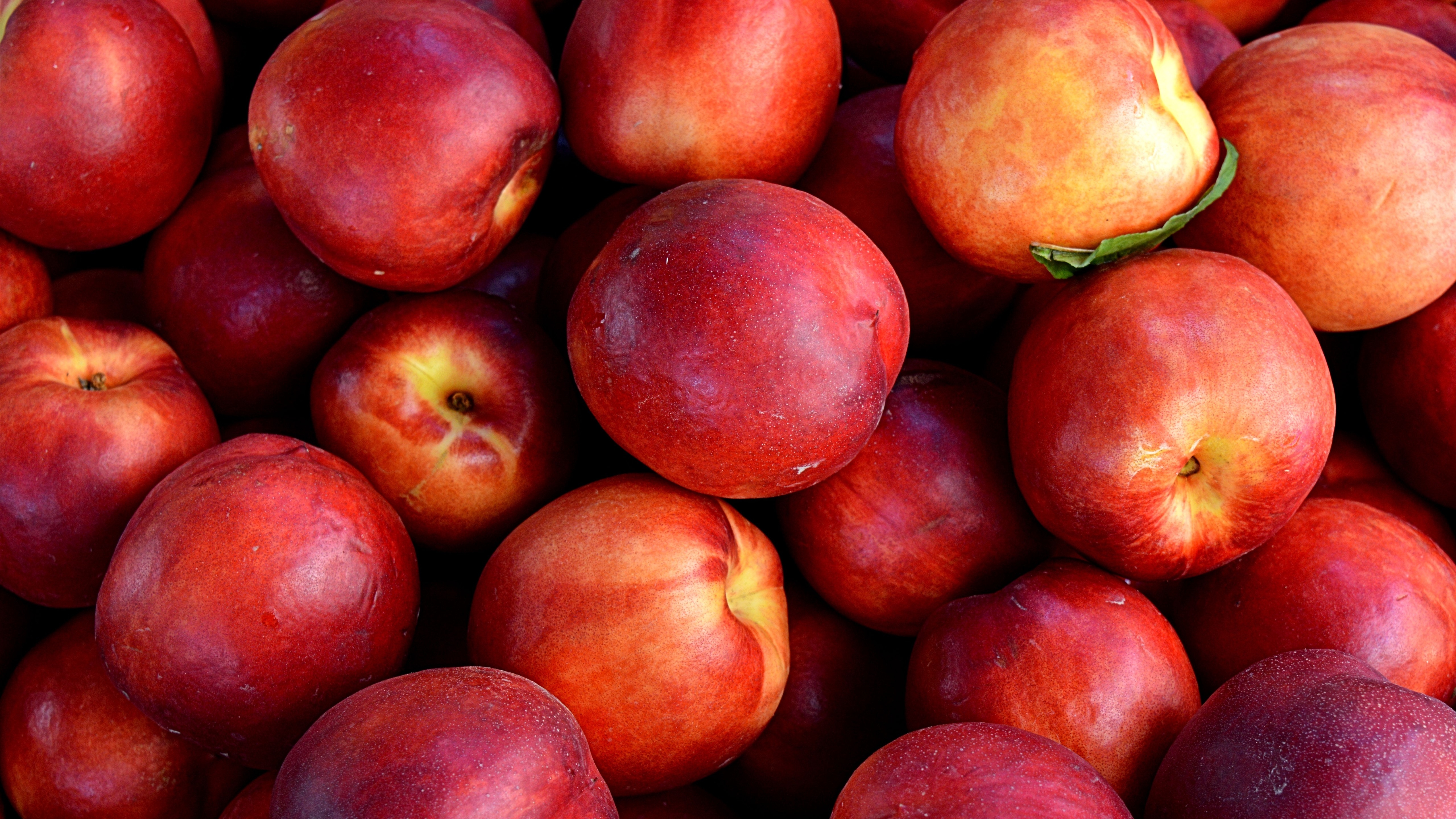 Фото бесплатно обои персики, спелые, красный