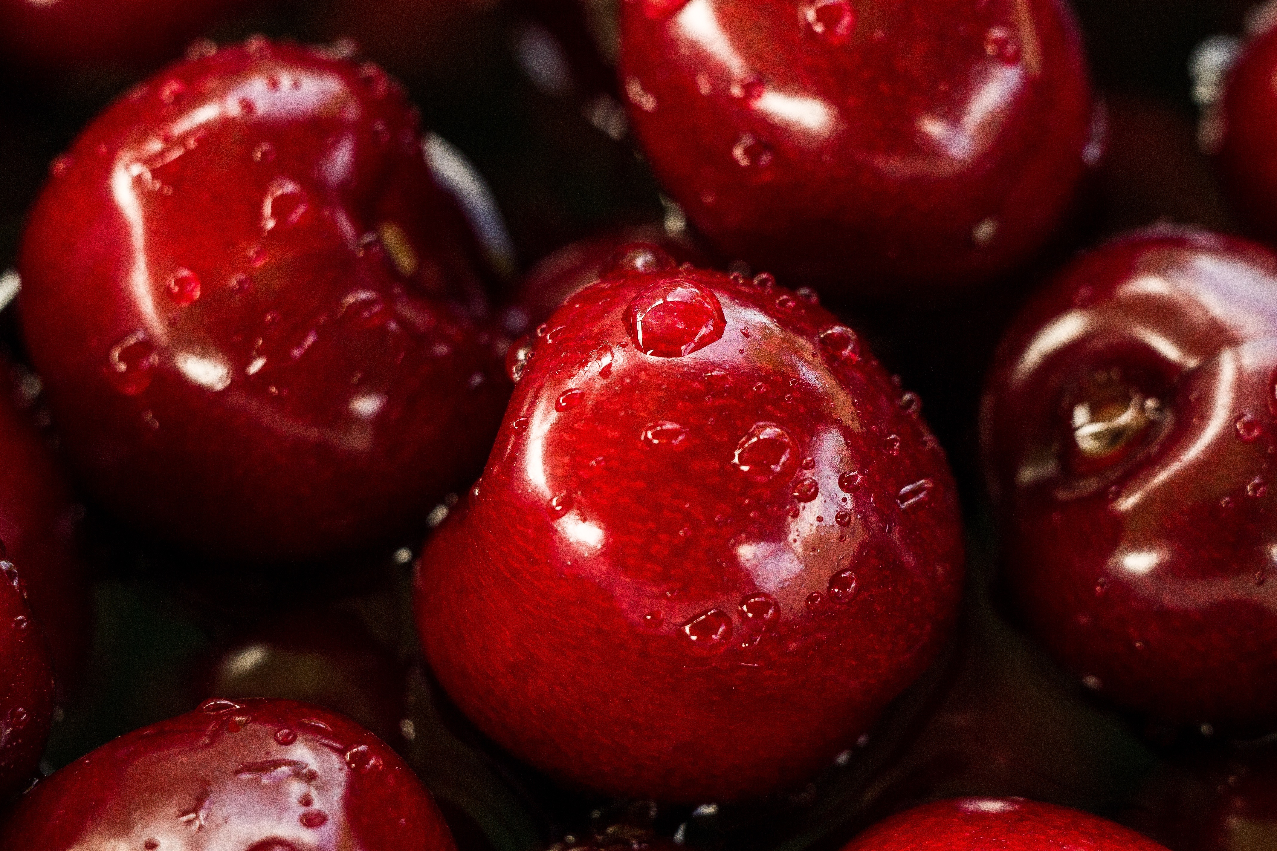 Free photo Red cherries with water droplets