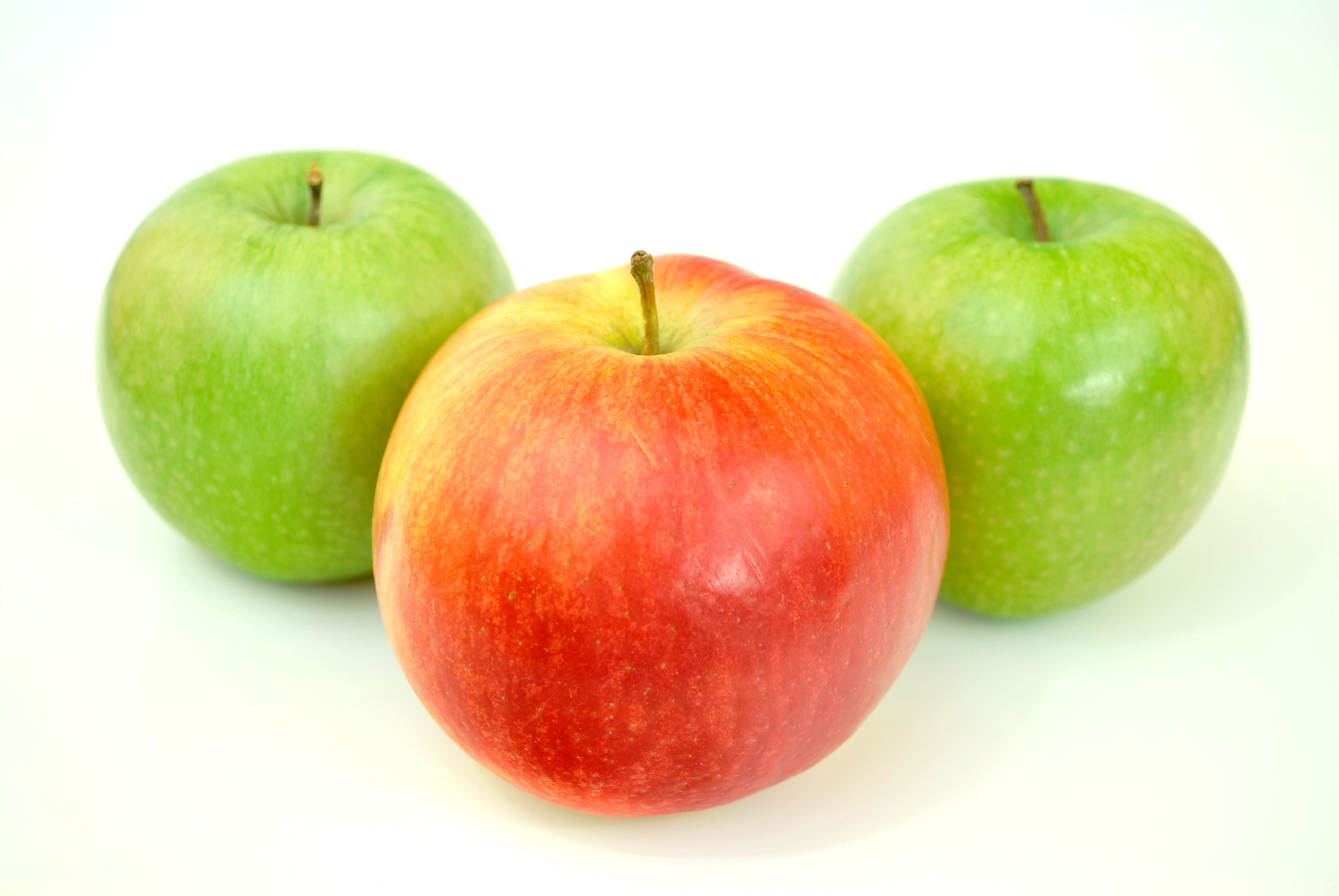 Обои яблоко растение фрукты на рабочий стол