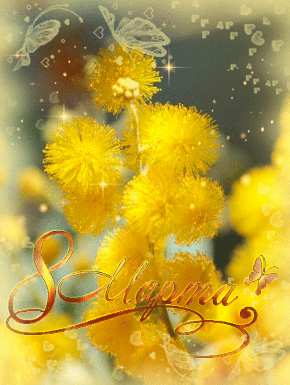 Красивые желтые цветочки на 8 марта