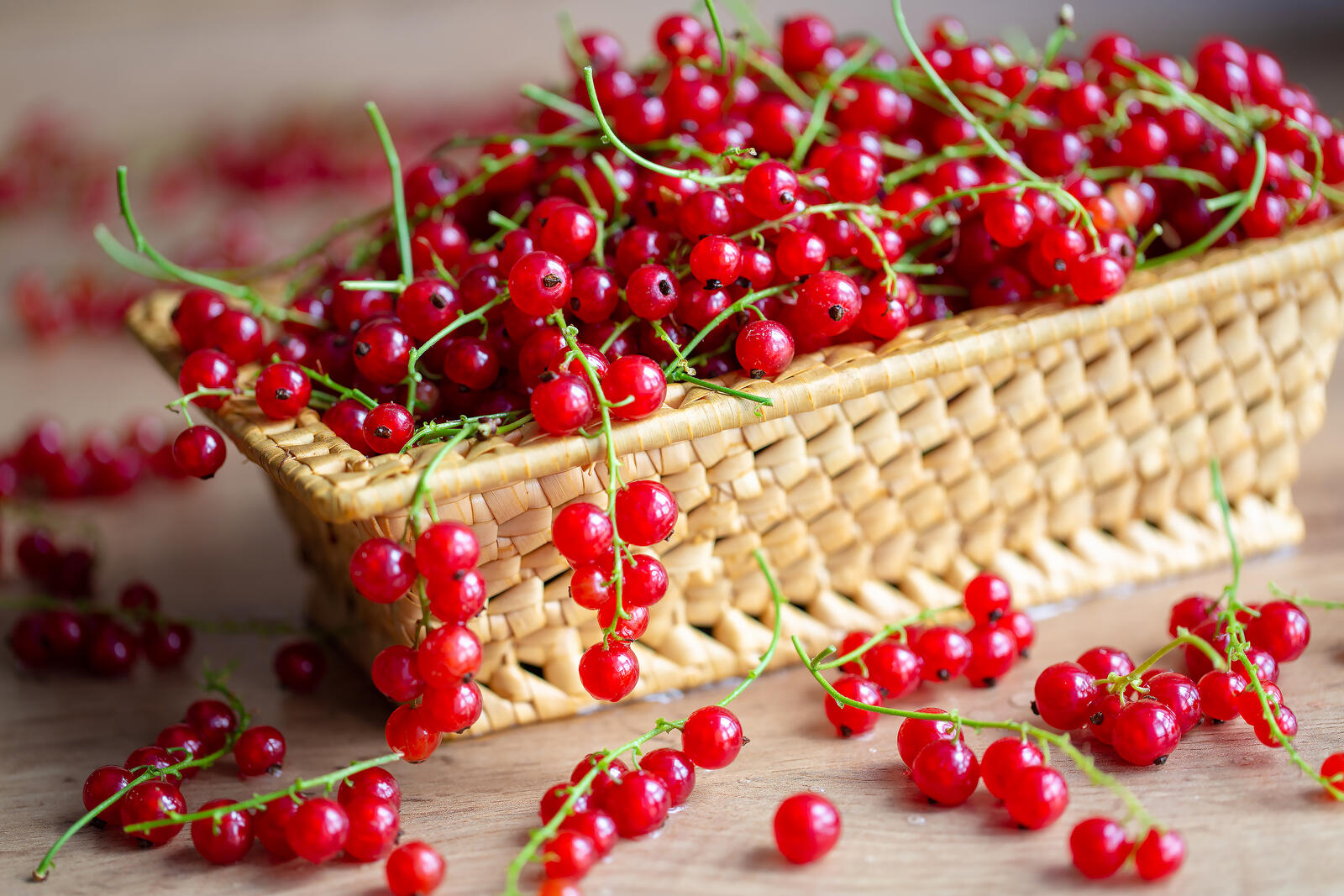 Free photo Red currants in a basket