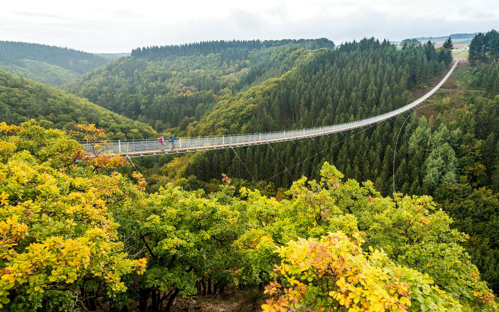 Free photo Hanging bridge in the low mountain range Hunsrück