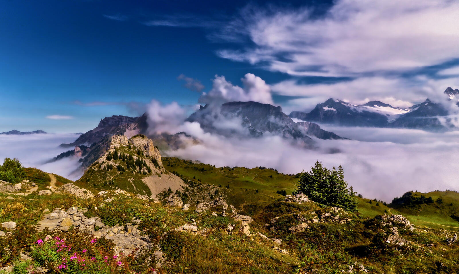 Бесплатное фото Туман высоко в горах