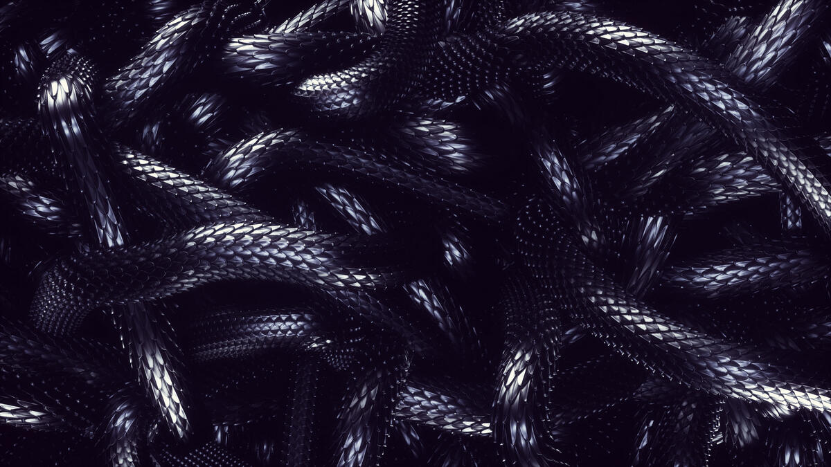 Black snake scales