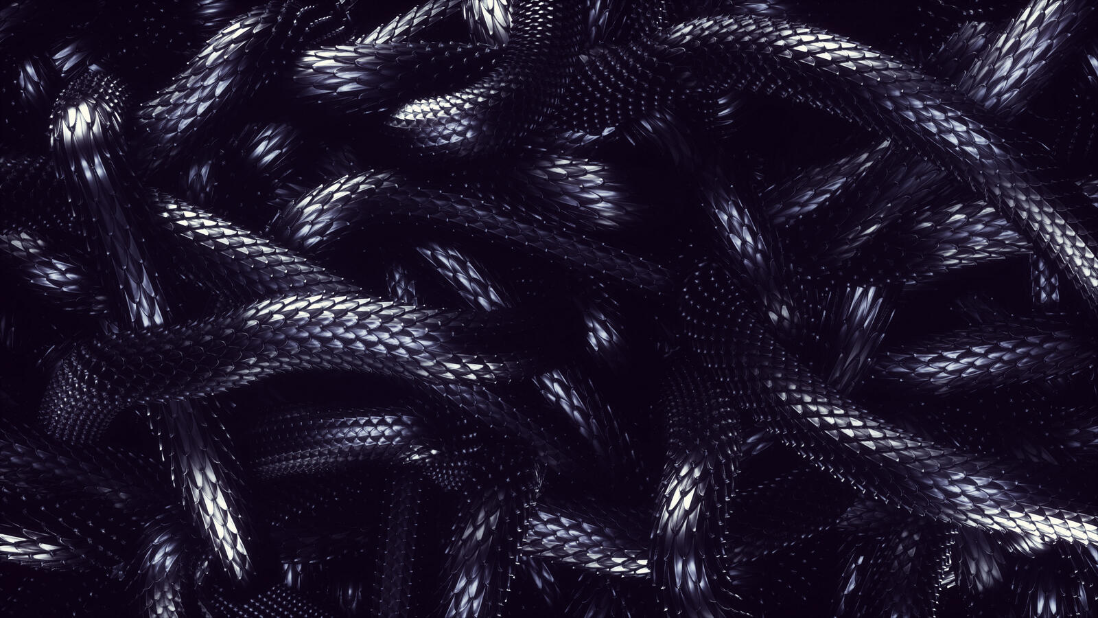 Free photo Black snake scales