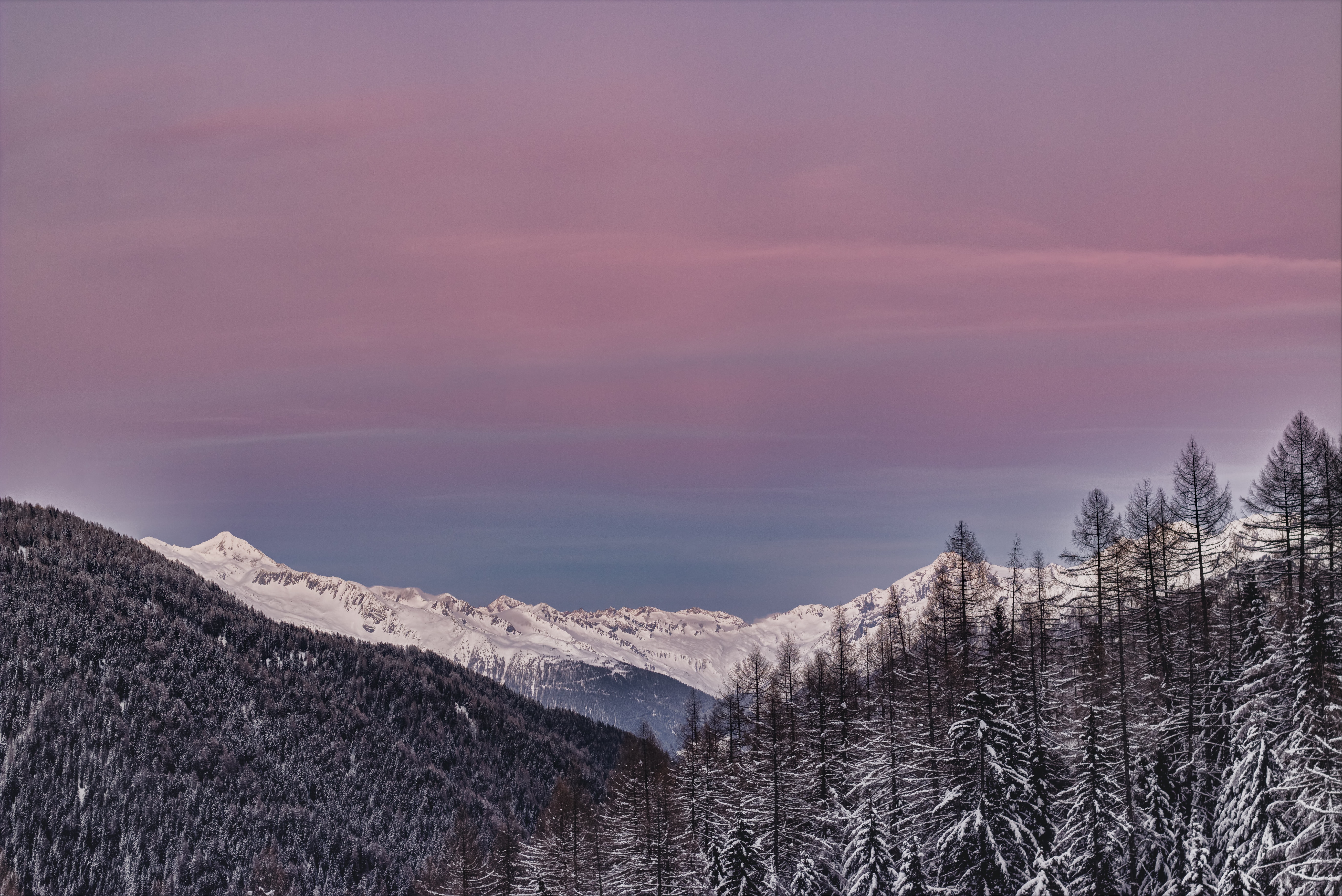 免费照片白雪覆盖的山丘上长满了树木