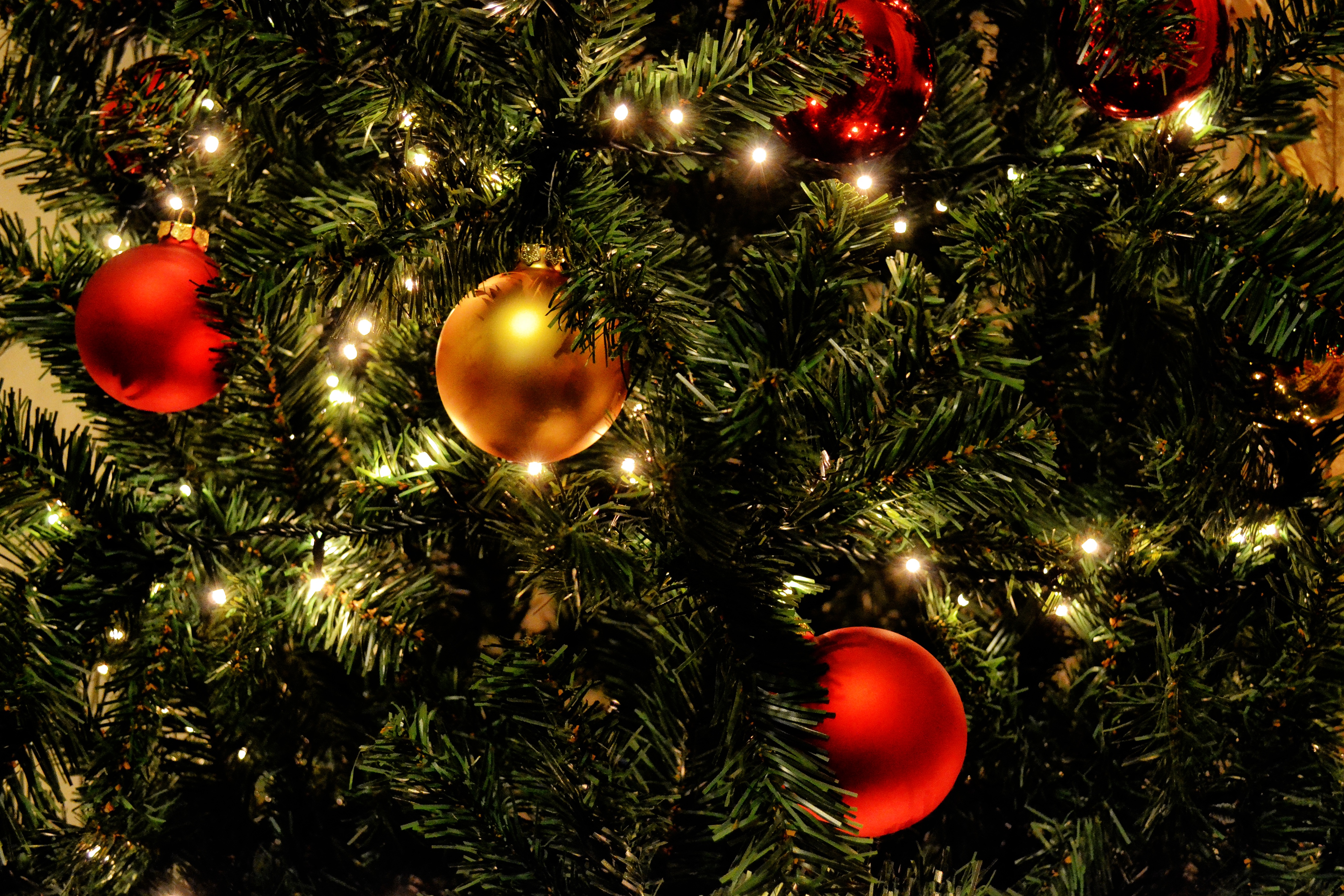 Бесплатное фото Новогодняя елка со светящейся гирляндой