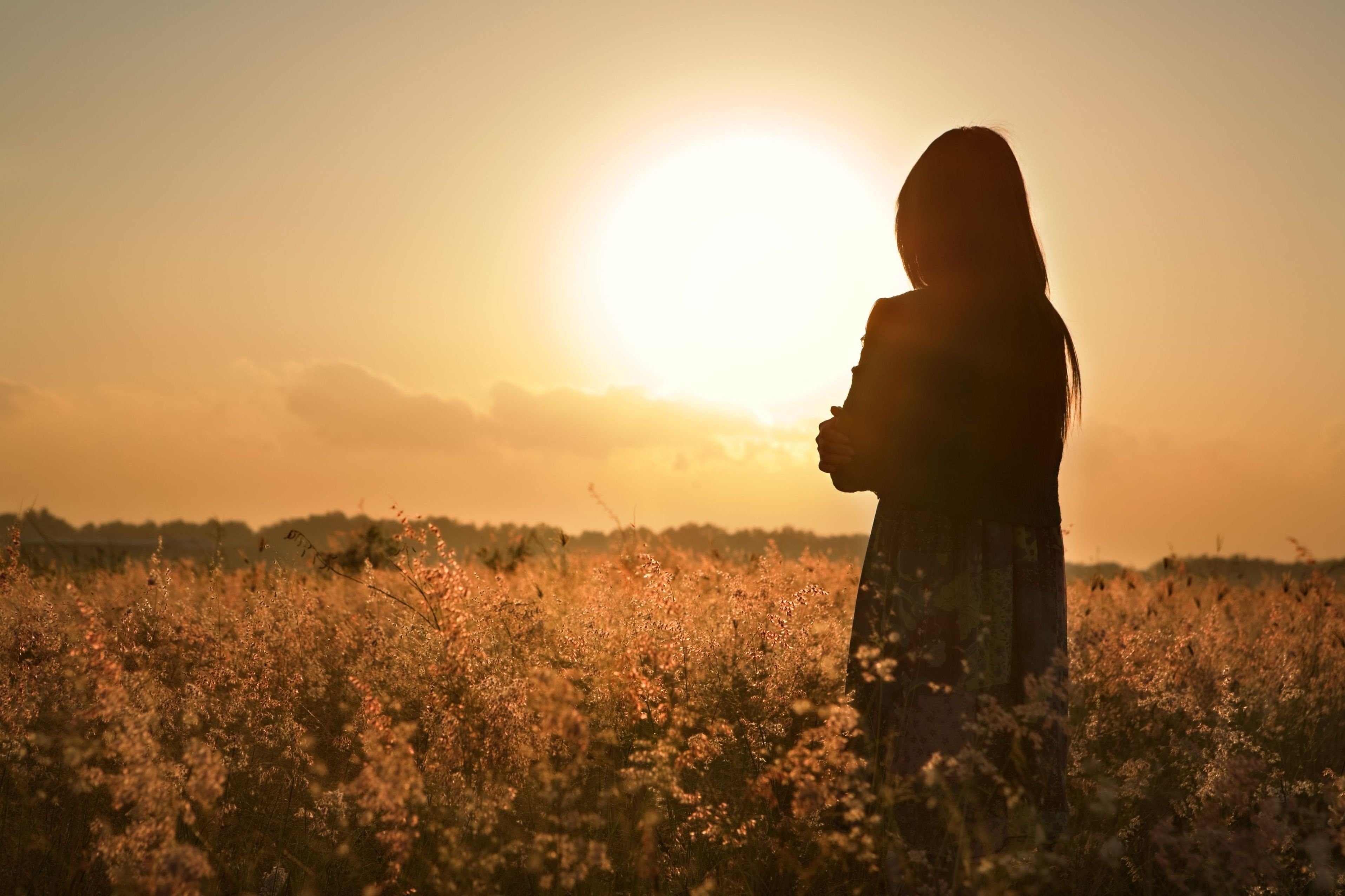 免费照片一个女孩在日落时分在田野上悲伤的剪影
