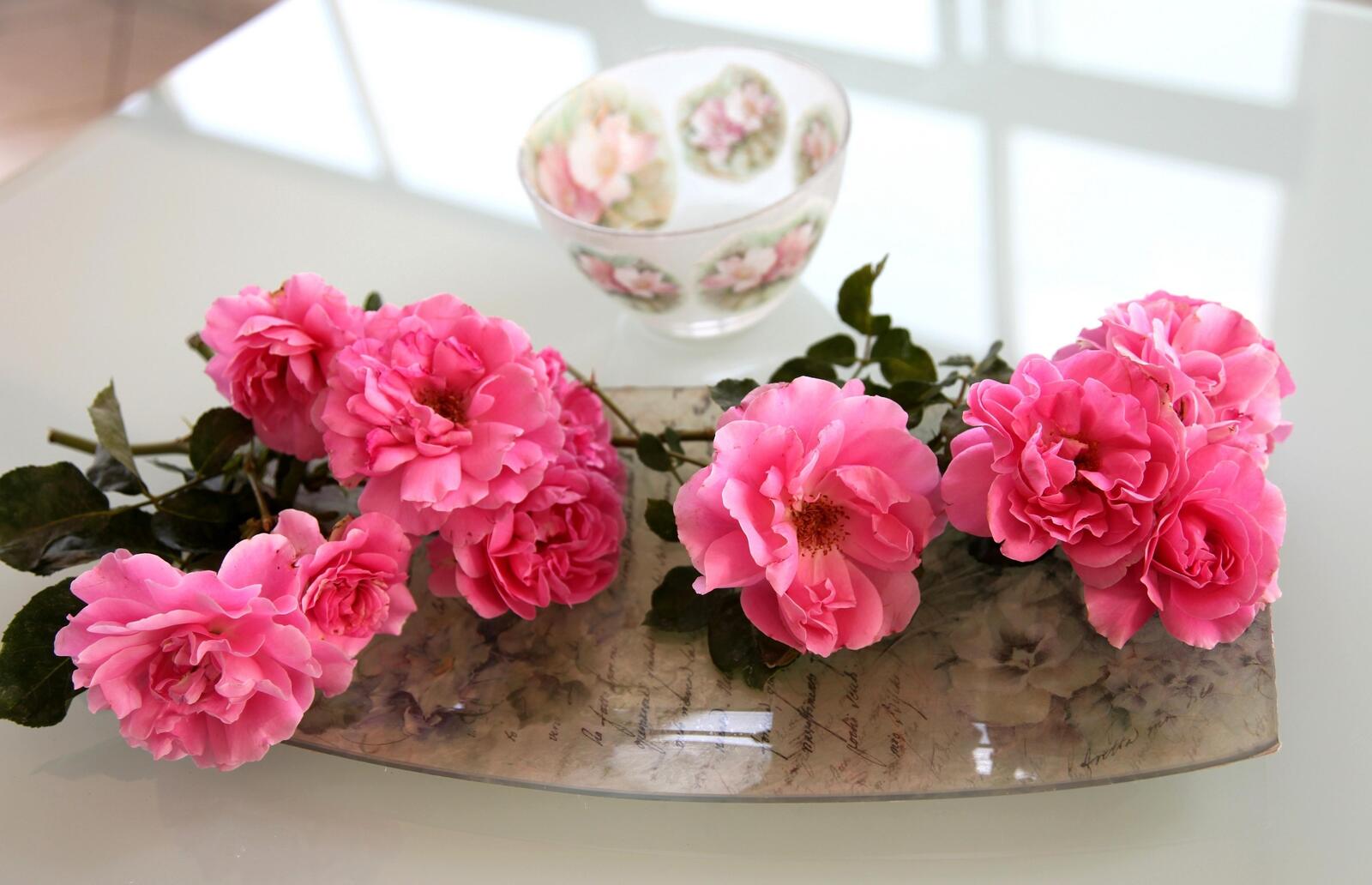 Обои розы цветы чаша на рабочий стол