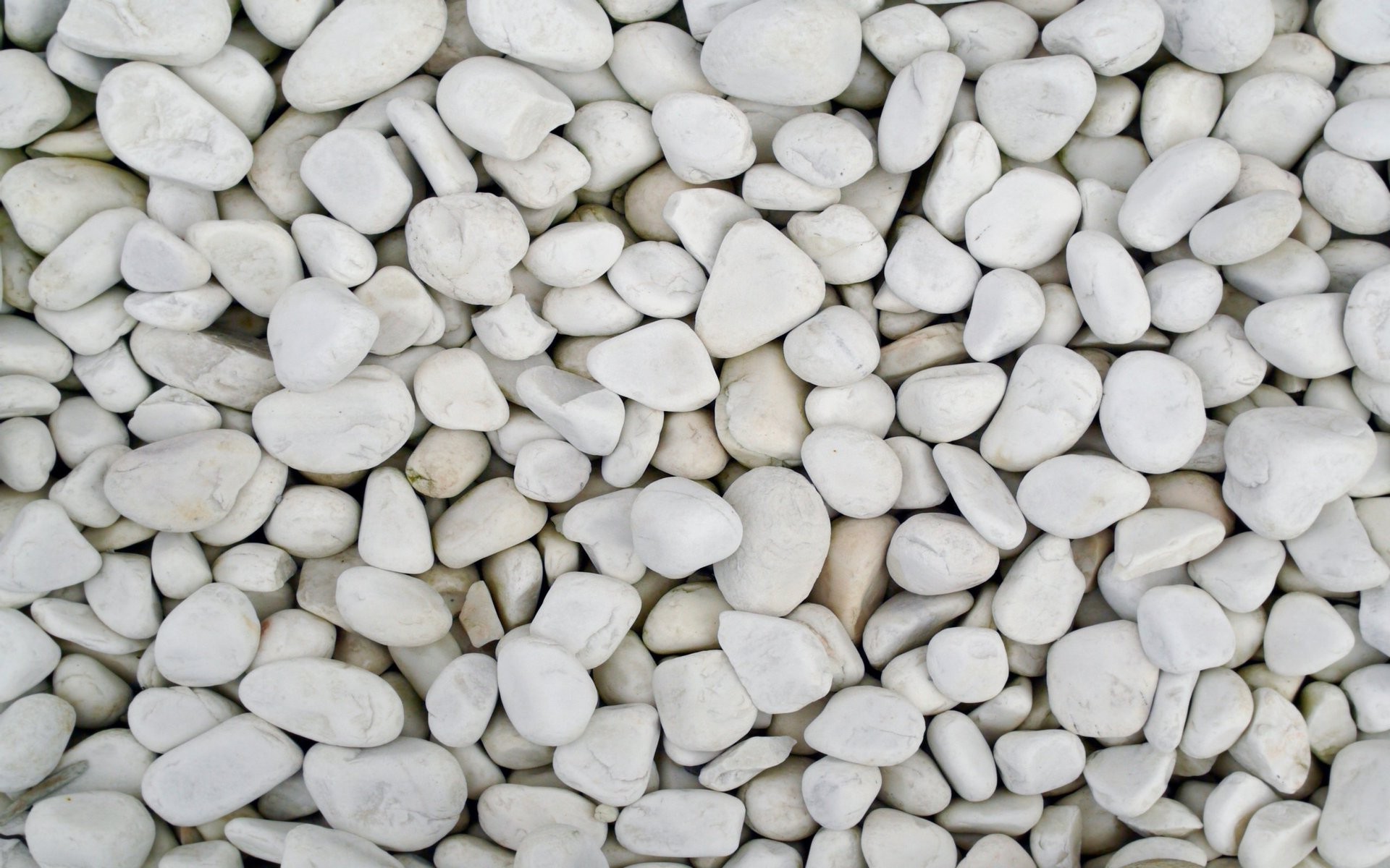 White-colored sea pebbles