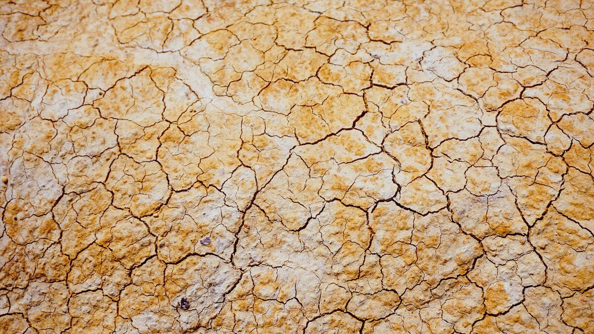 Cracked earth from the drought