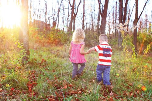 Children walking hand in hand in the woods