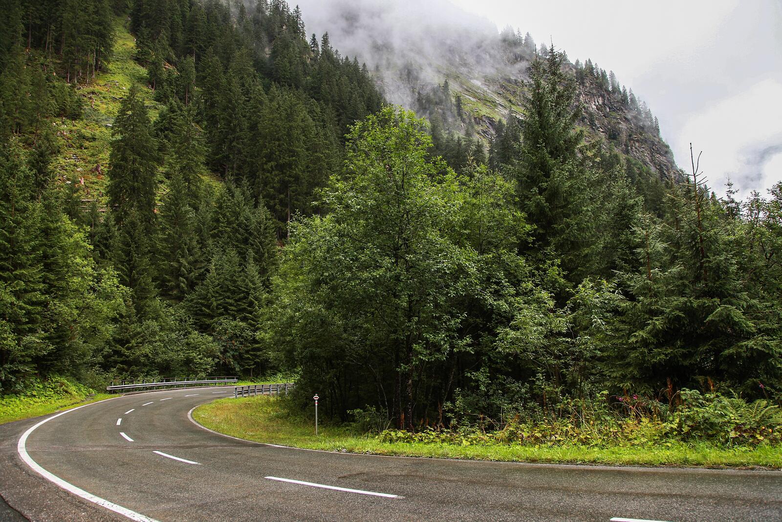 Бесплатное фото Извилистая дорога в тумане в Австрии