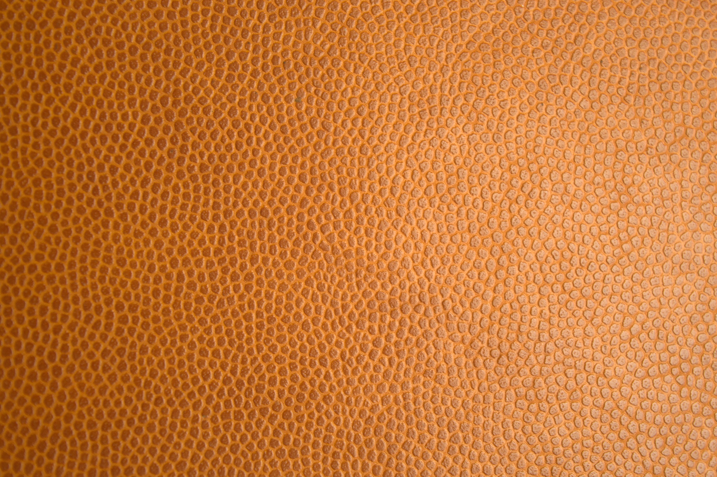 Free photo Close-up of red skin texture
