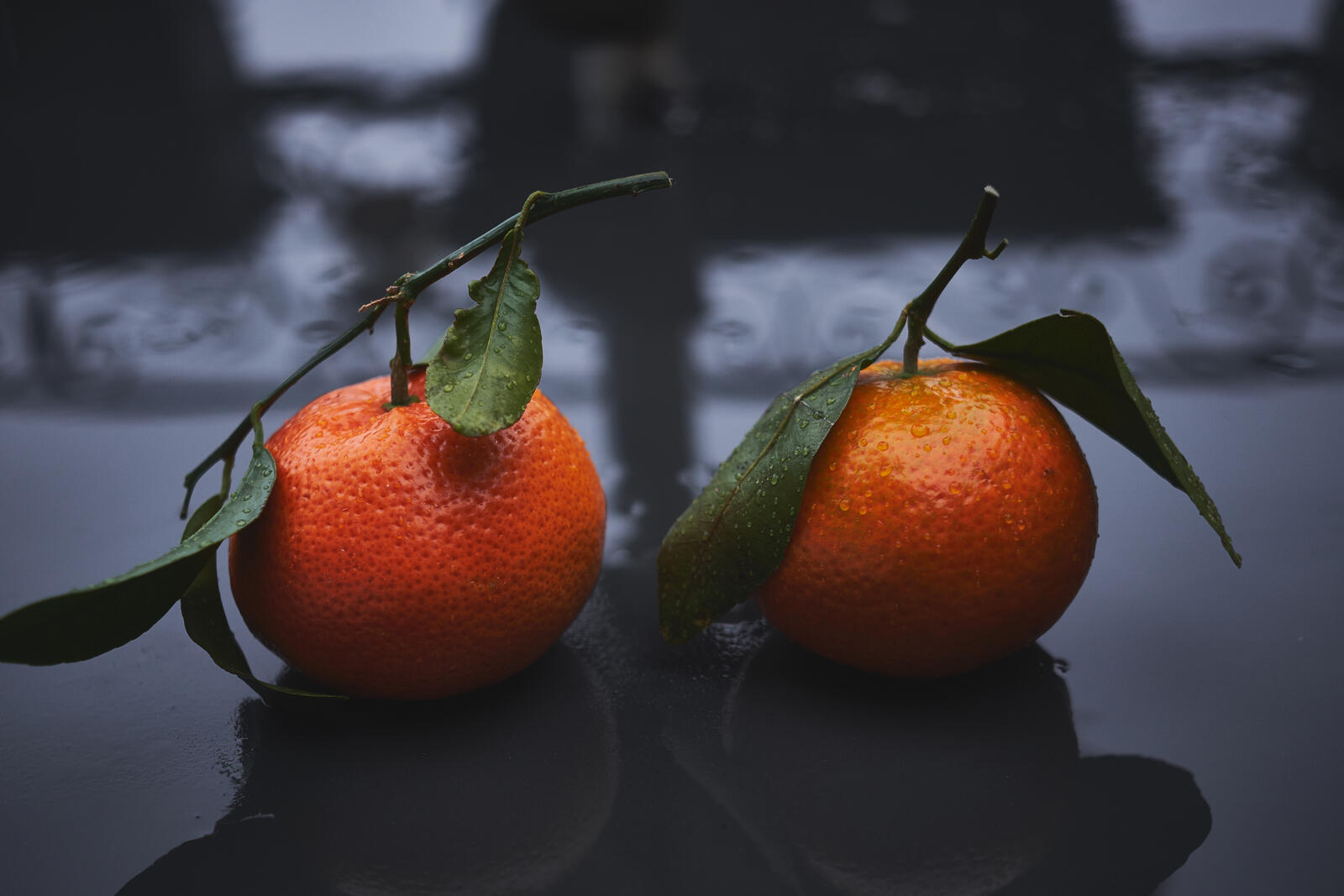 Free photo Two orange mandarins with green leaves