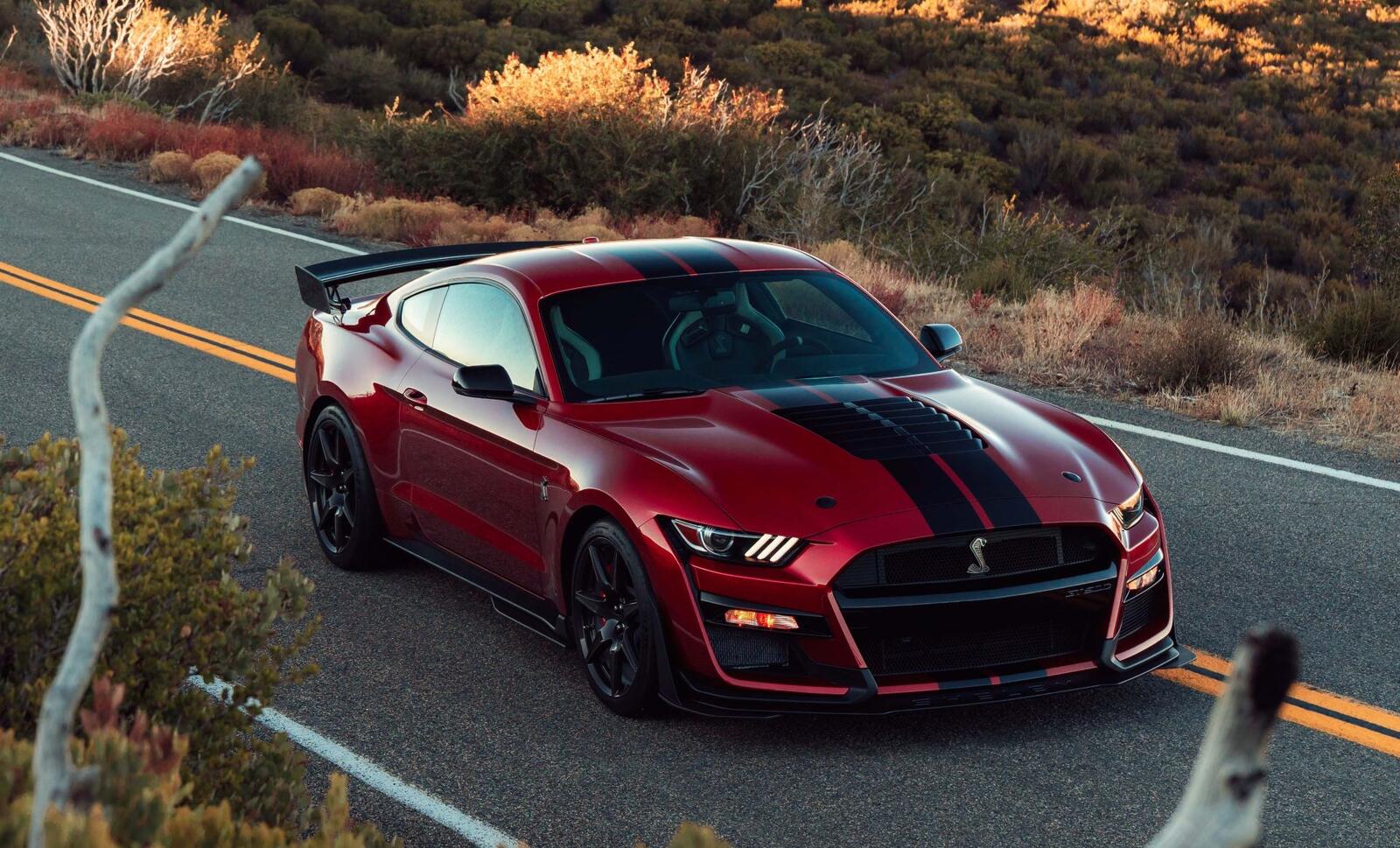 Free photo Ford Mustang Shelby GT500