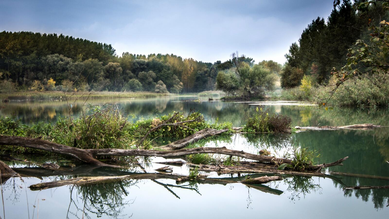 Free photo A swampy river in Slovakia