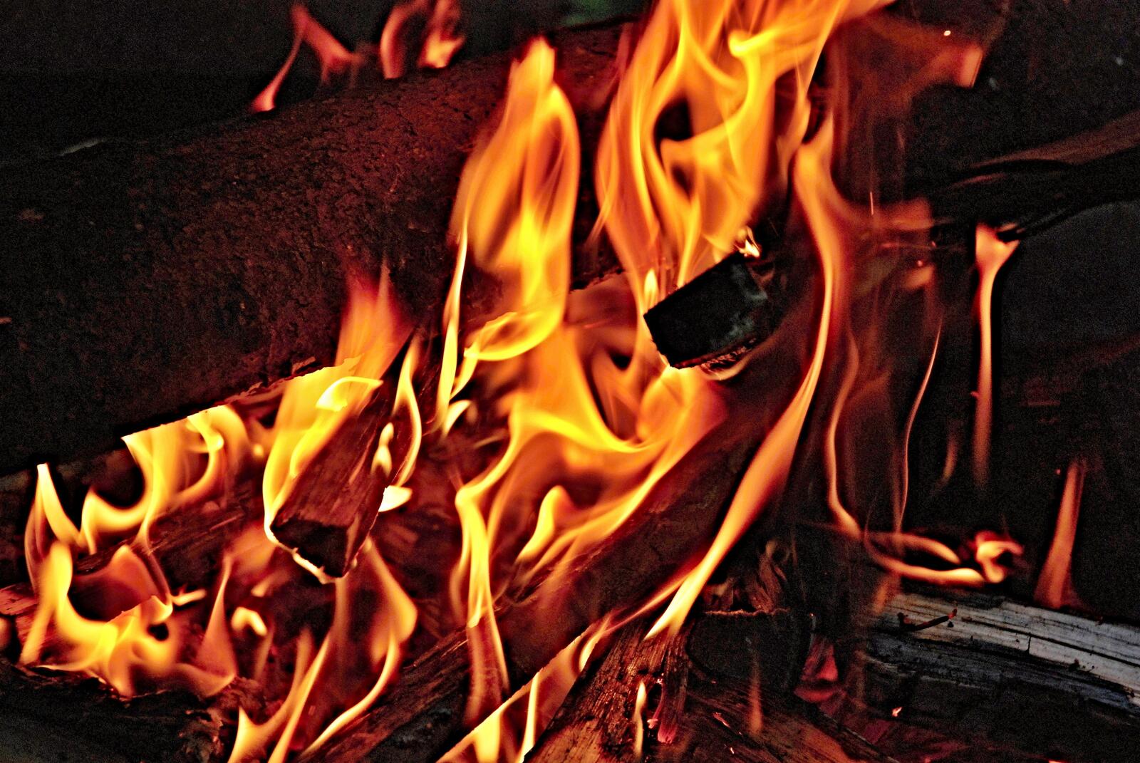 免费照片劈好的柴火的篝火