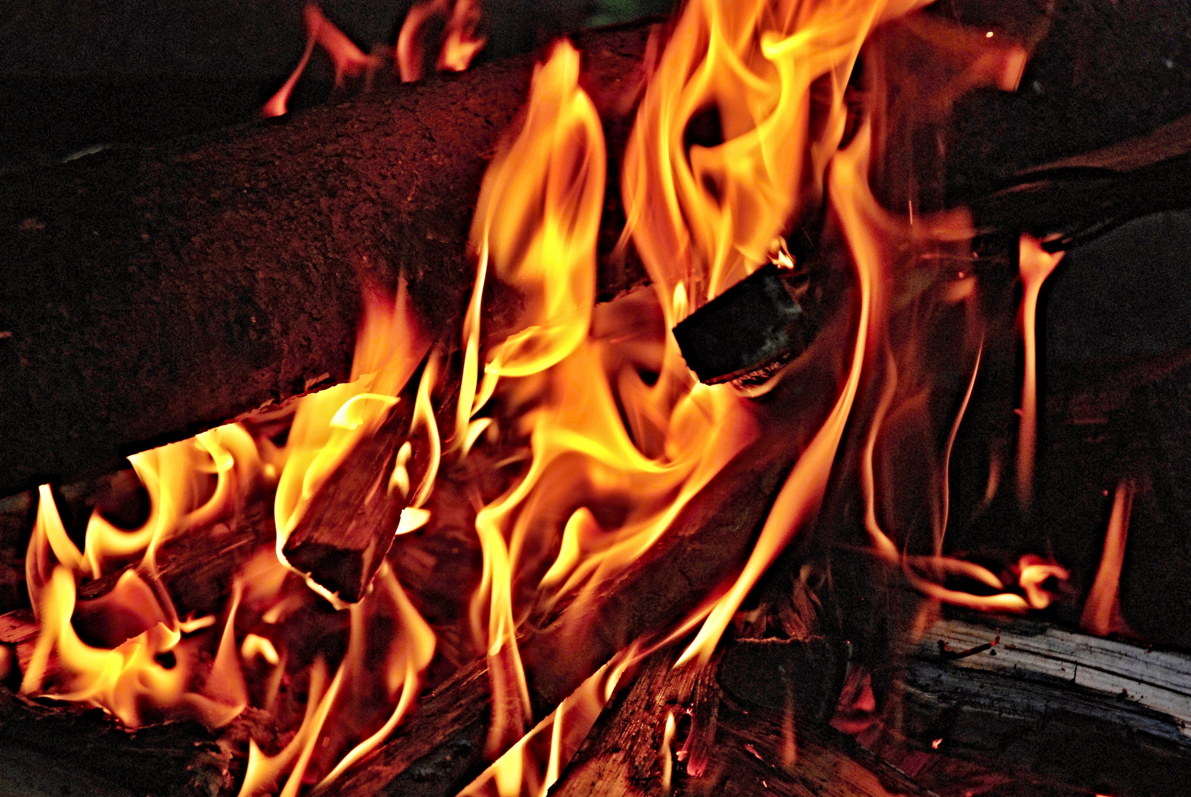 Free photo Chopped wood fire