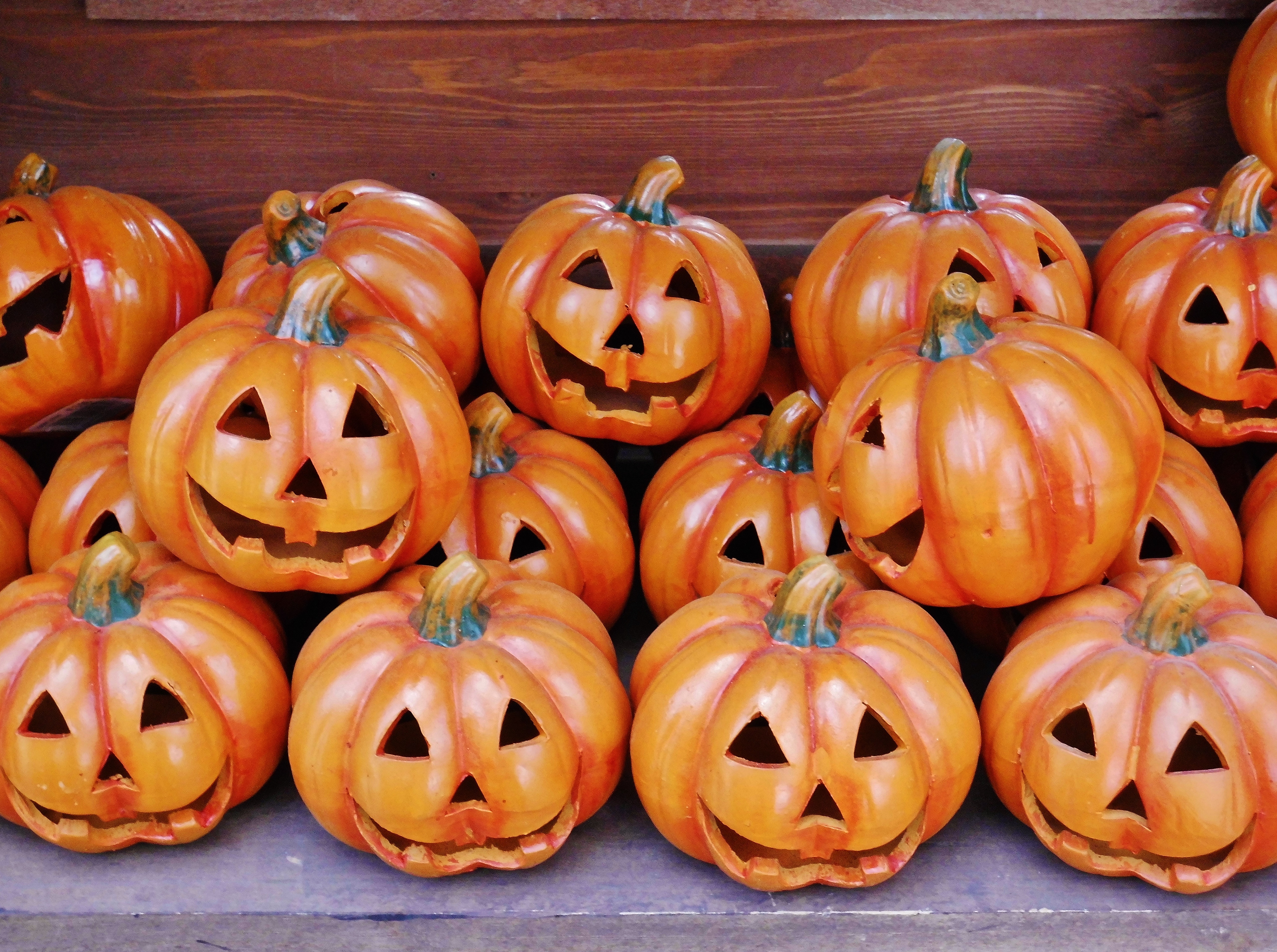 An assortment of pumpkins for the Halloween holiday