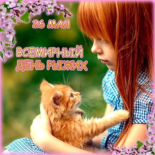 一张以祝贺 世界红发日 猫为主题的明信片