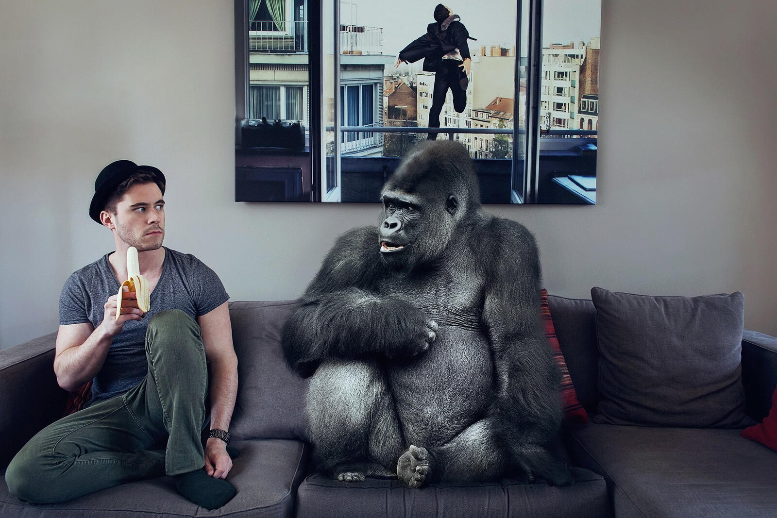 Wallpapers gorilla sofa banana on the desktop