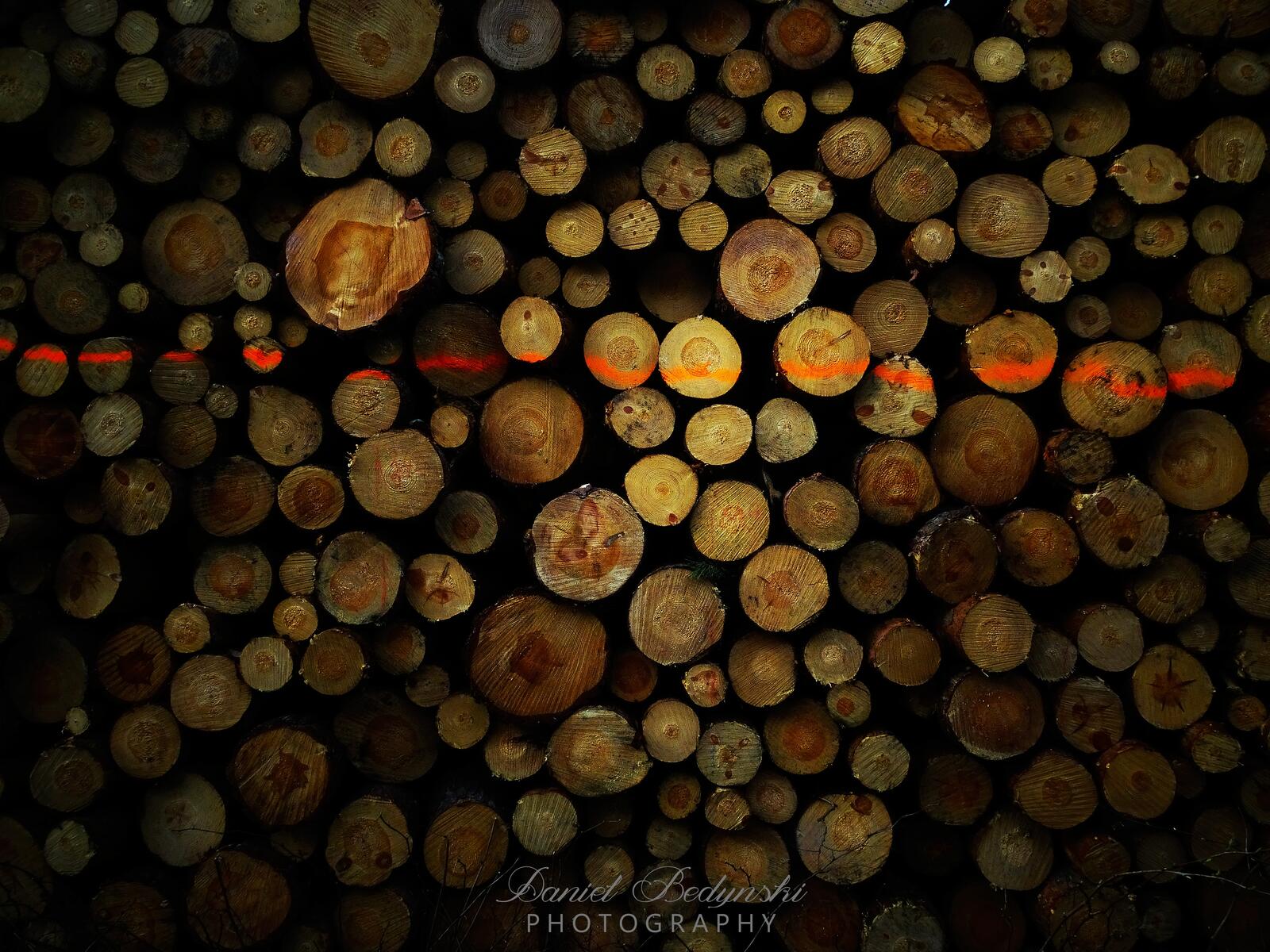 Обои ночь природа древесина на рабочий стол