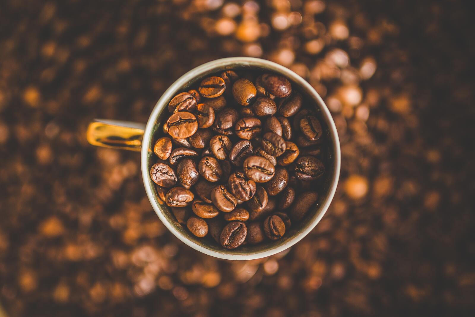 Бесплатное фото Кружка наполненная зернами кофе