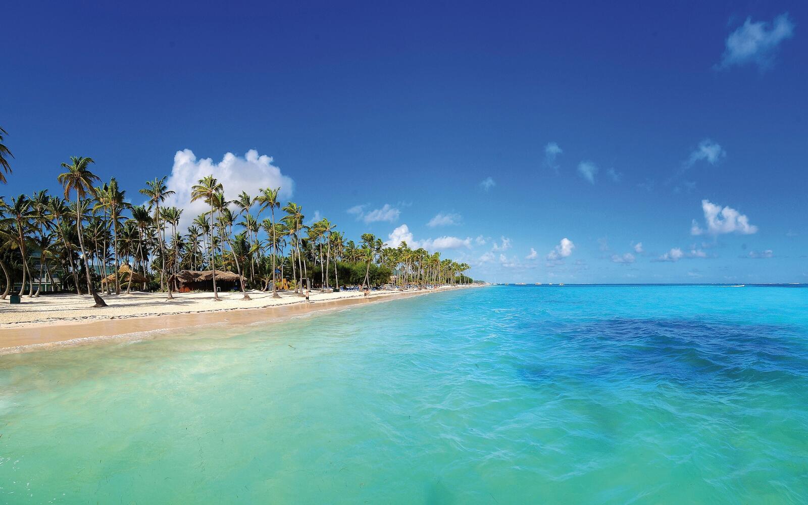 Бесплатное фото Отпуск на пляже моря с пальмами и белоснежным песком