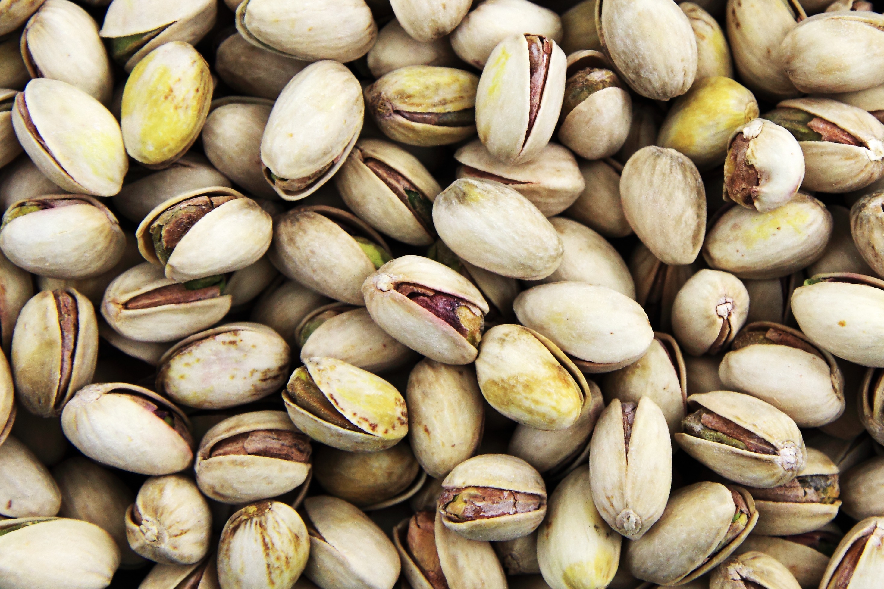 Free photo Scattered pistachios