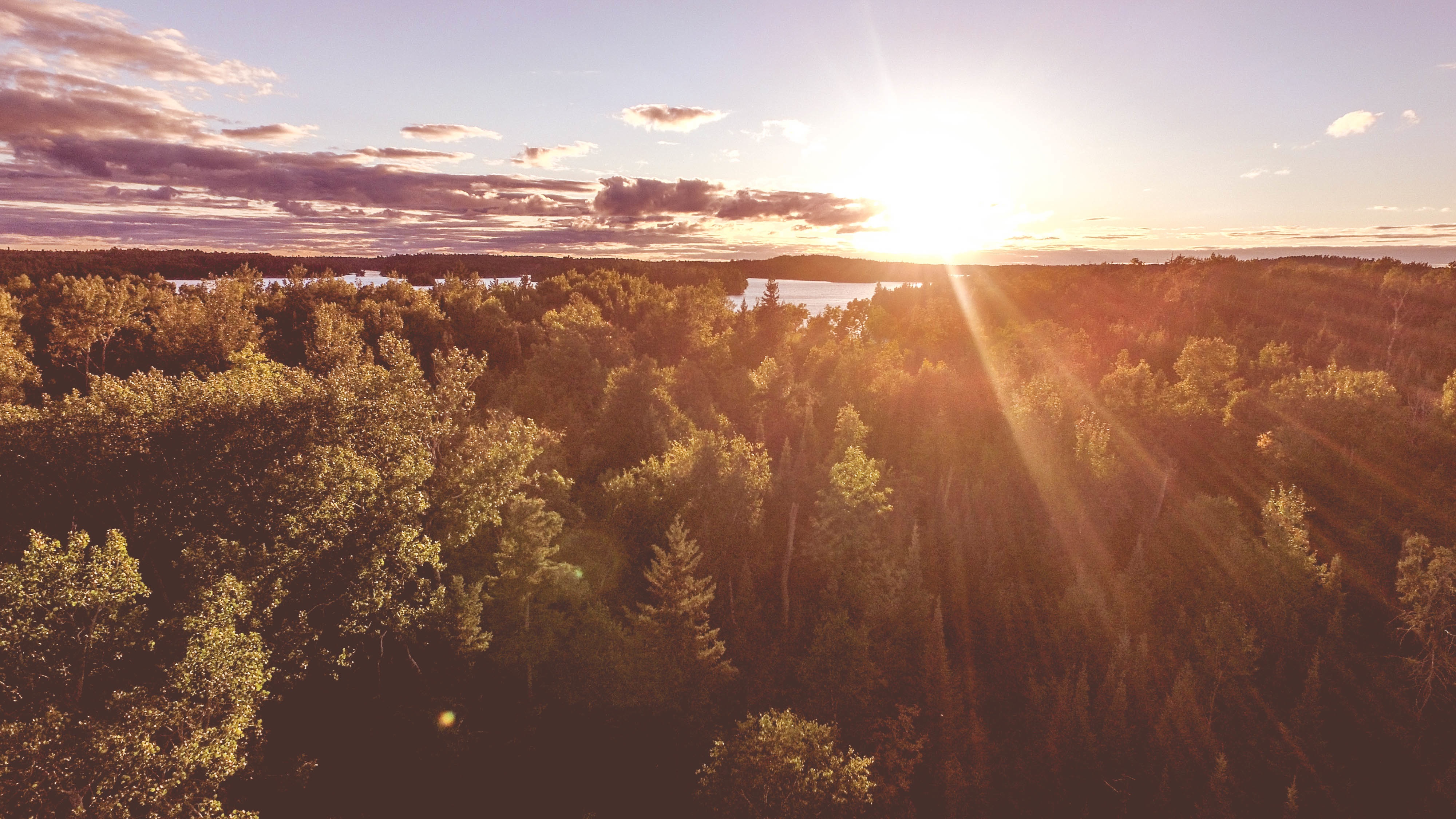 Бесплатное фото Яркий восход над макушками деревьев