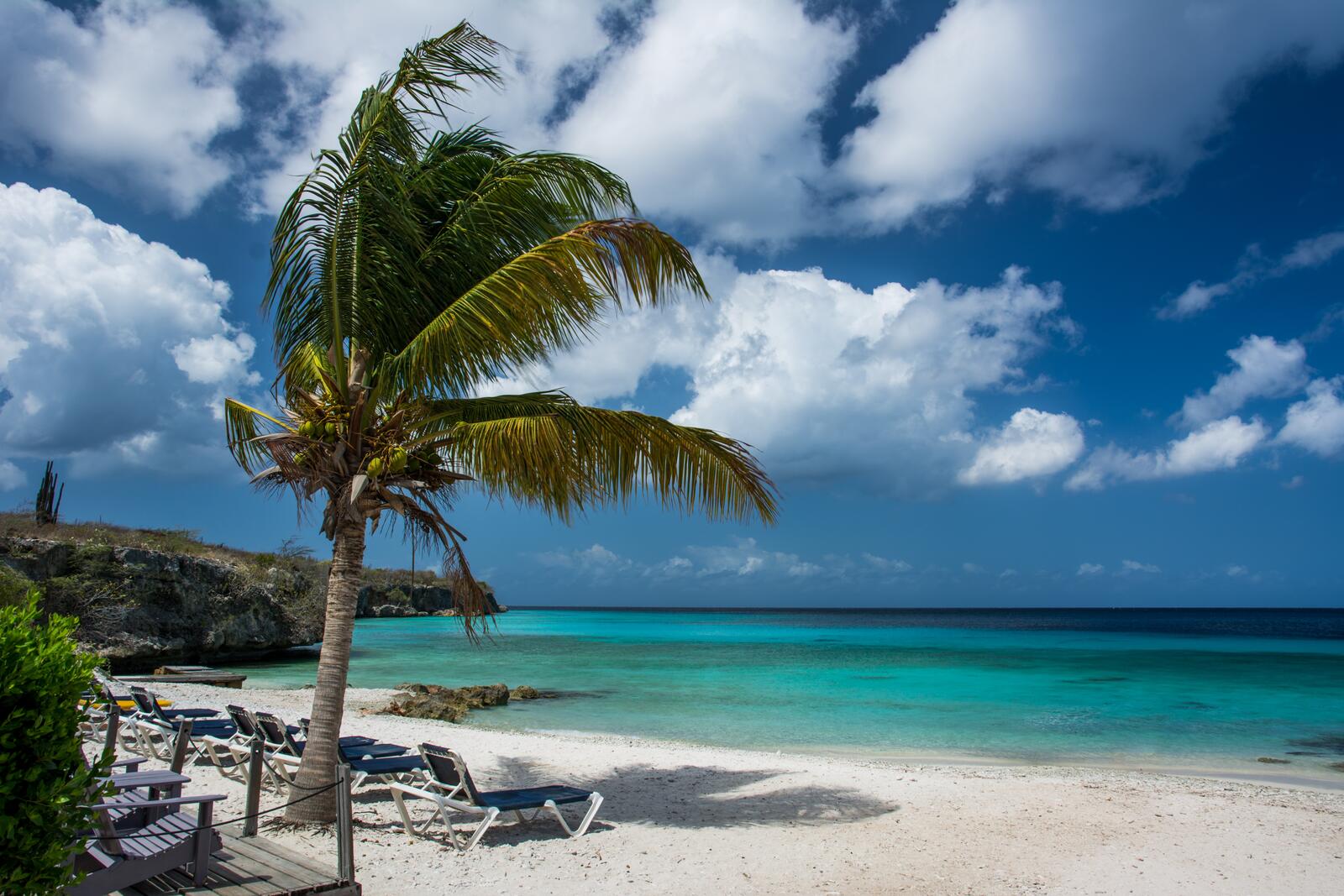 Бесплатное фото Пляж с пальмами на берегу моря