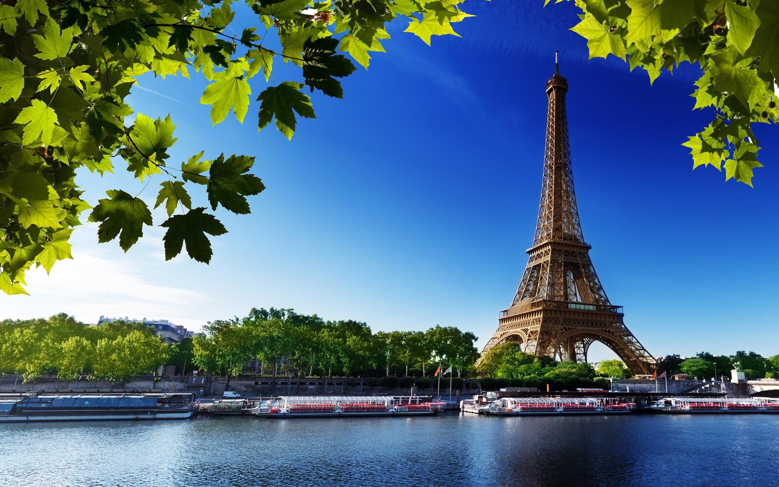 Бесплатное фото Эйфелева башня летним днем