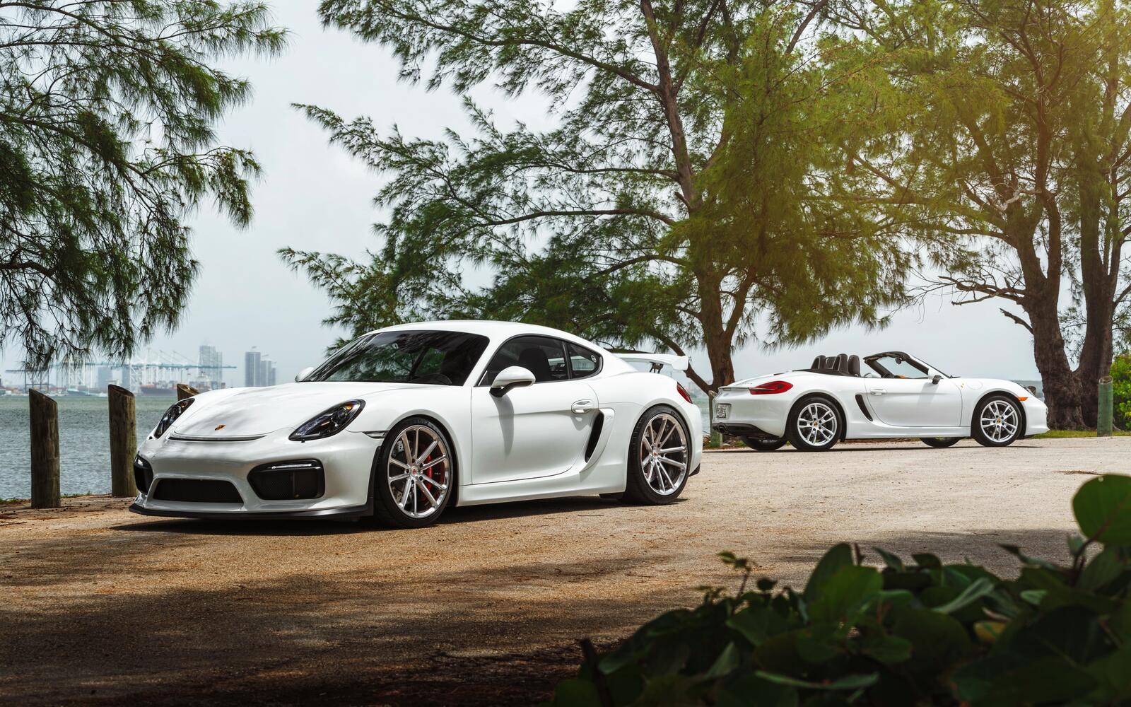 Free photo Two white Porsches
