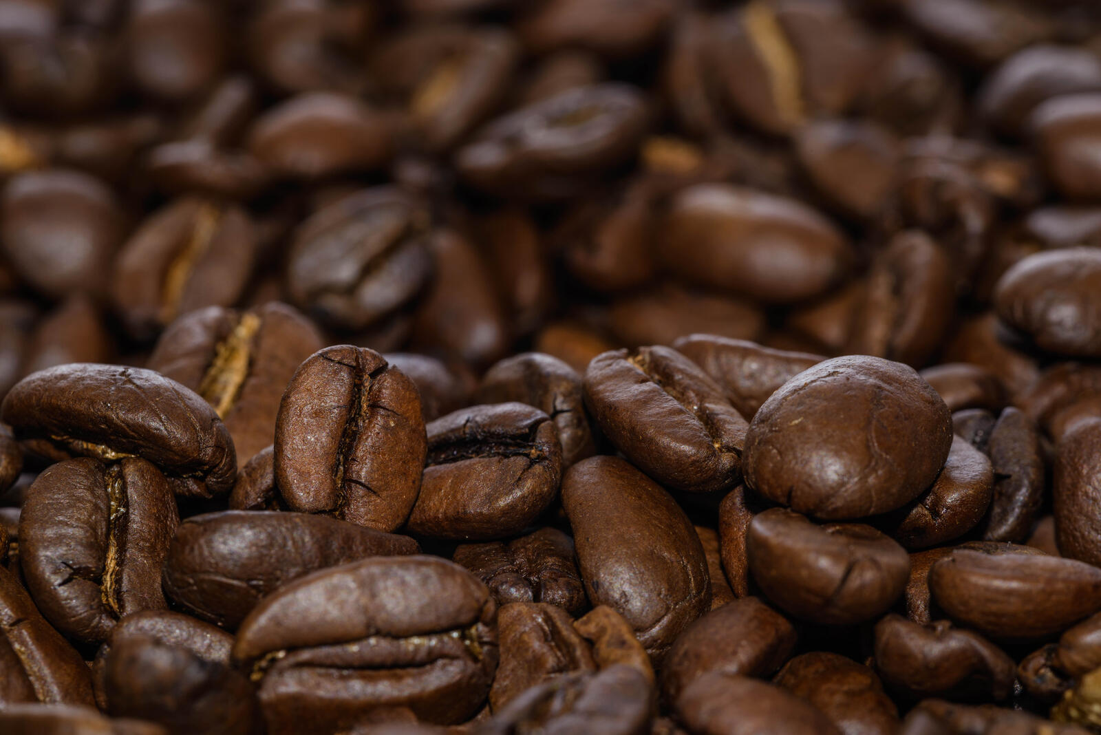 Free photo Close-up of coffee beans