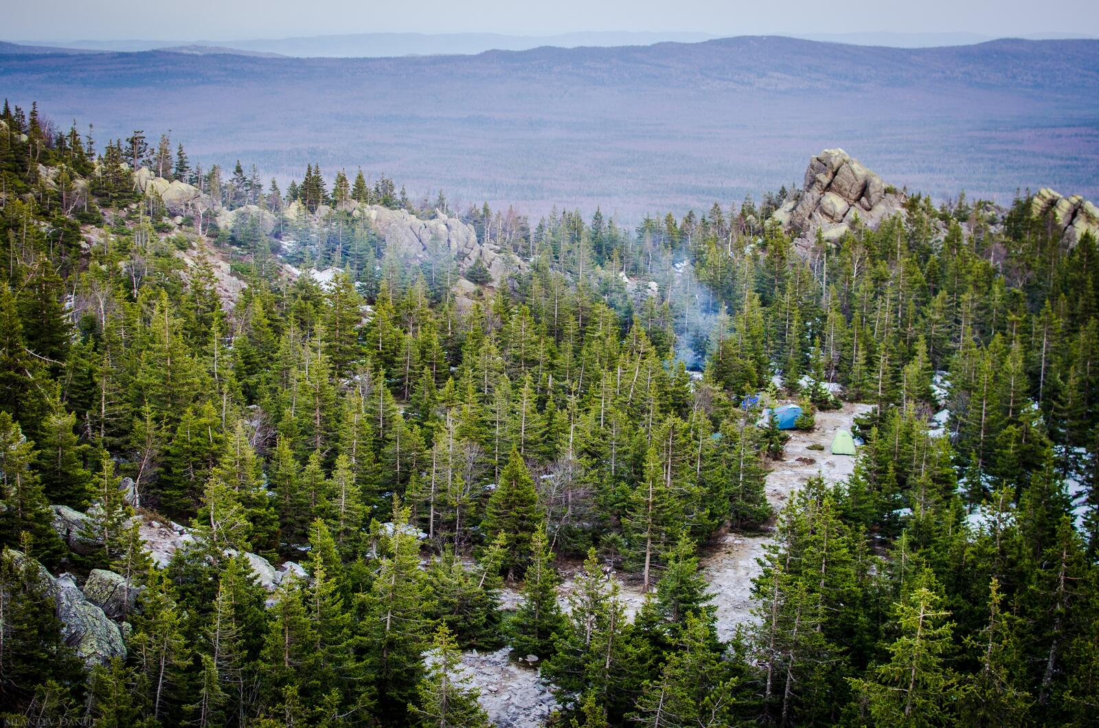 Бесплатное фото Палаточный лагерь в лесу у обрыва