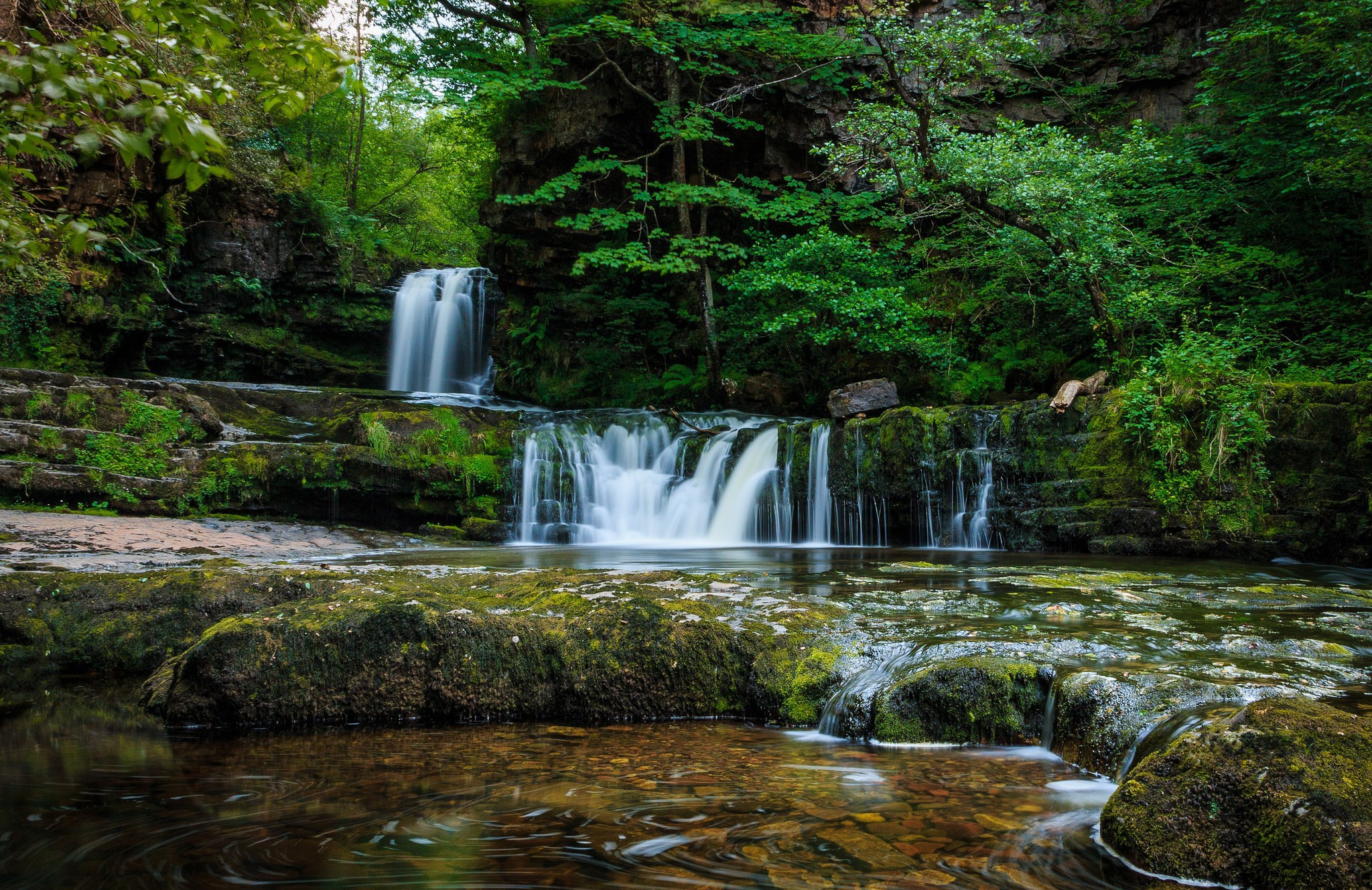 Фото бесплатно обои водопад, скалы, лес