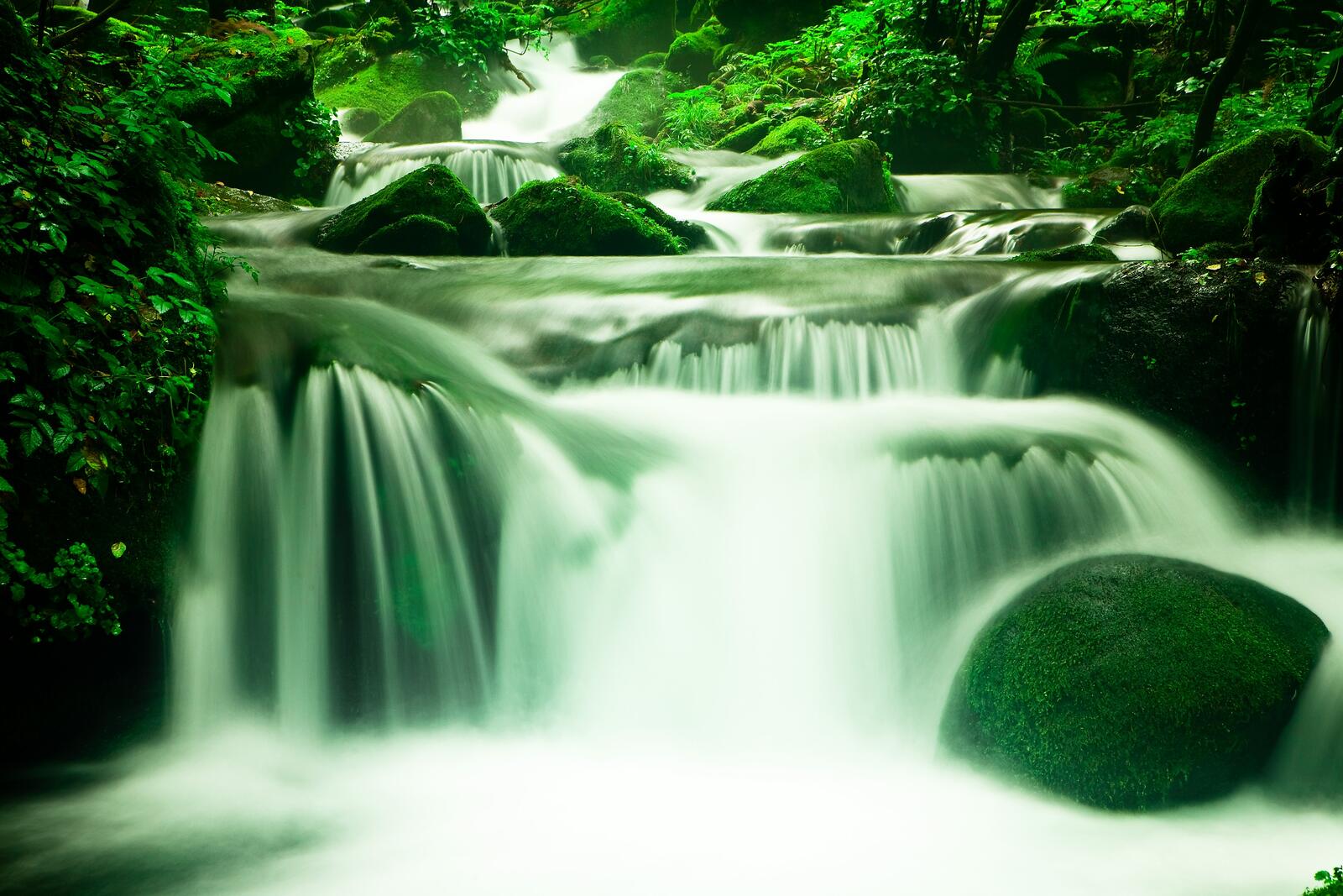 Бесплатное фото Водопад в густом летнем лесу