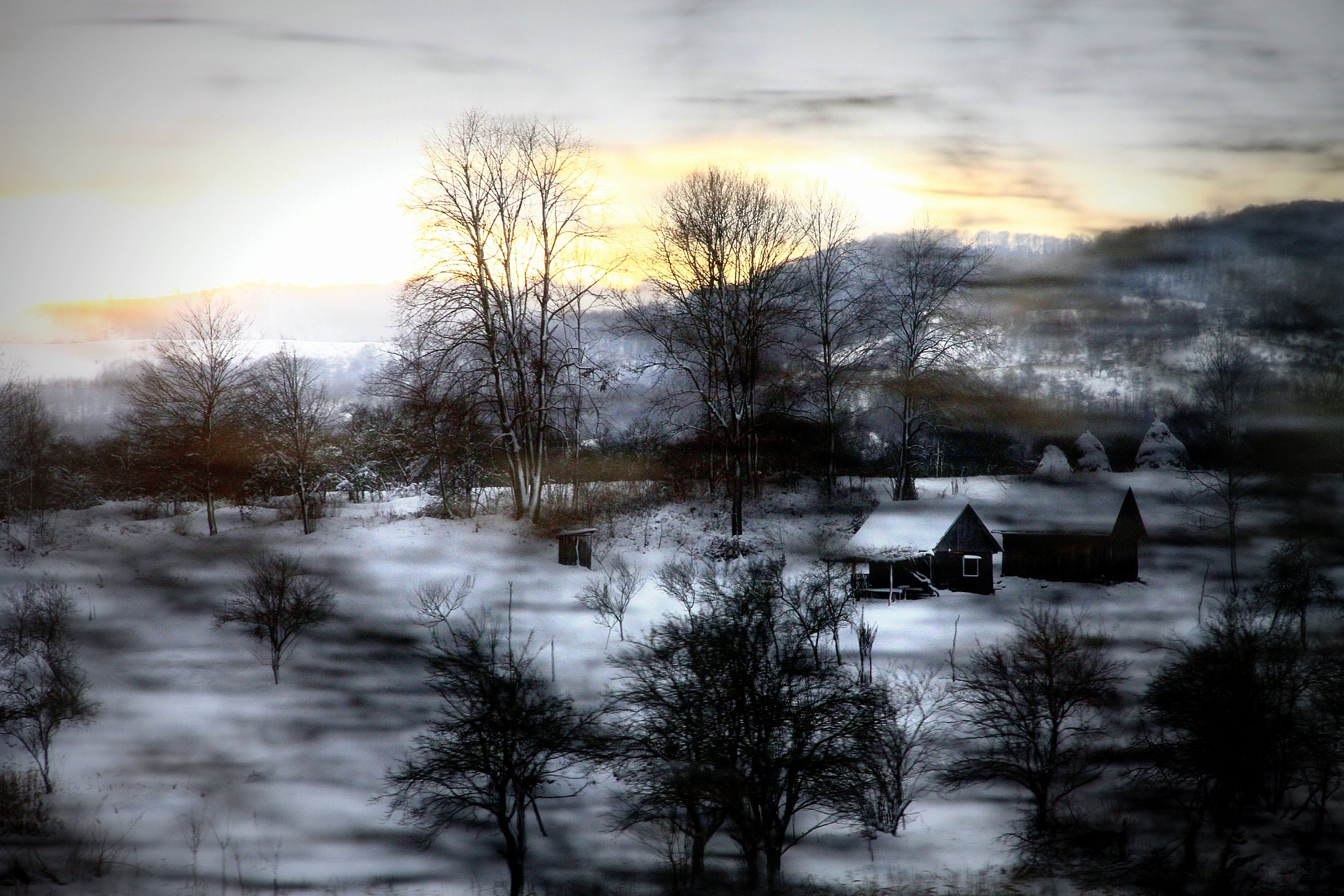 Фото бесплатно шницель, зима, белый