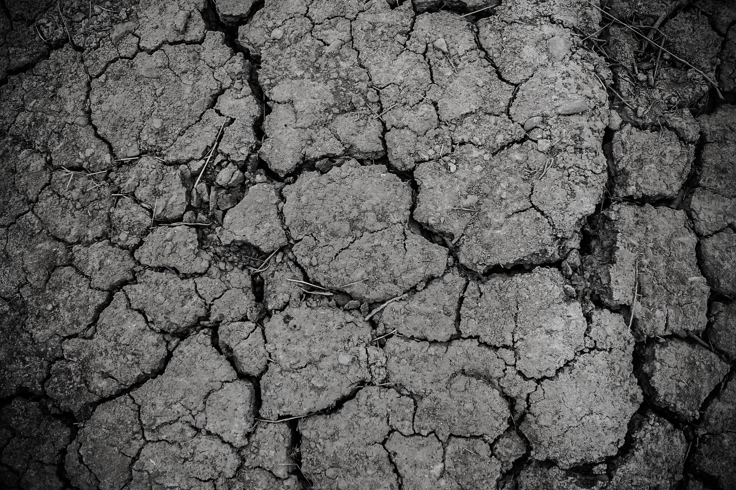 Free photo Cracks in the dried ground