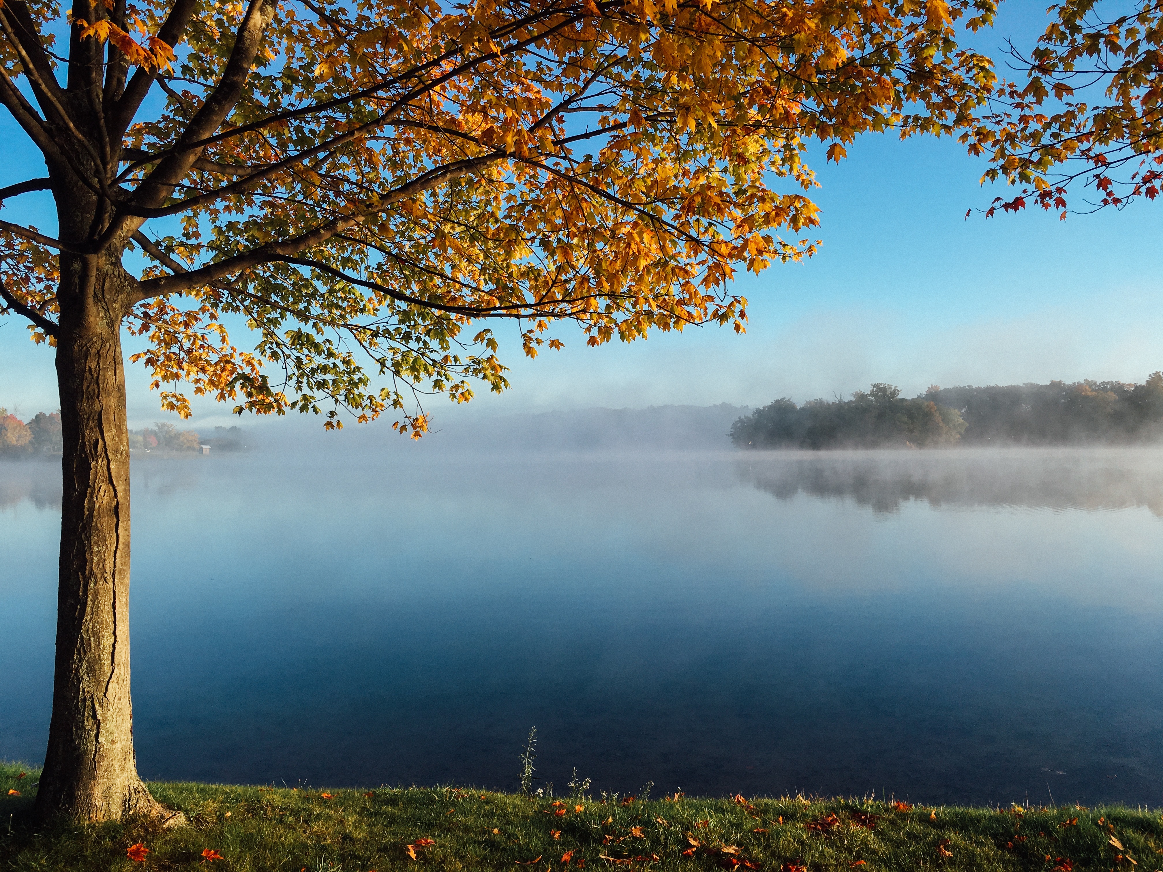 A fall morning on a lake with fog rolling in